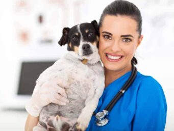 Veterinary professional nurse